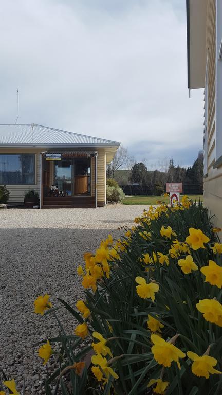 Waiau Motor Camp & Cabins Buitenkant foto